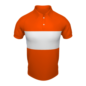 Half sleeves Polo